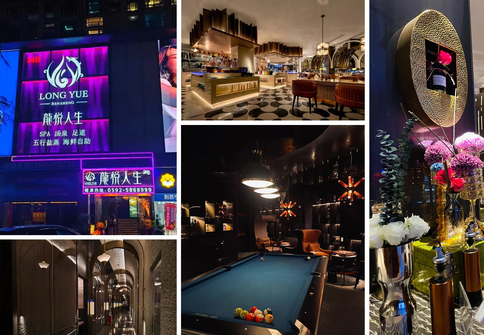 1735786607857881.jpg 龙悦人生介绍图片.jpg